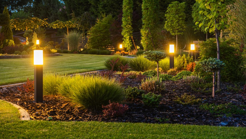 Modern LED landscape lighting illuminating plants and greenery in a Cincinnati backyard at night.